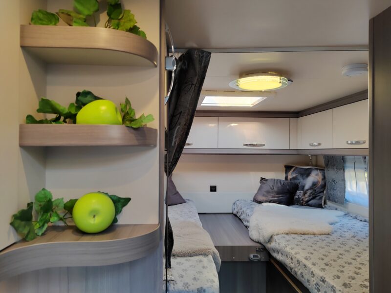 Dog-Camper | White +