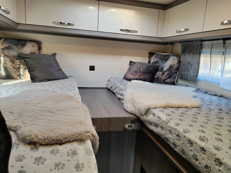 Dog-Camper | White +